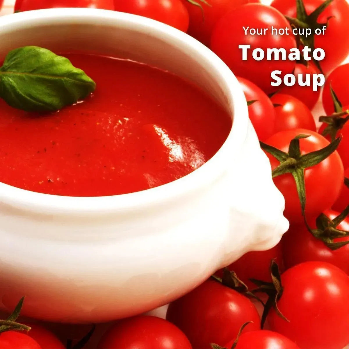 Tomato Soup Premix - 500g Jar - cafedesireonline.com